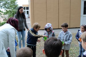 IMG_8946.JPG