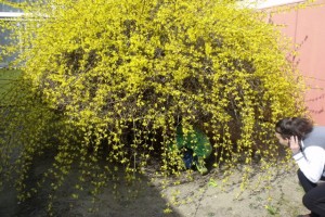 DSCF3955.jpg