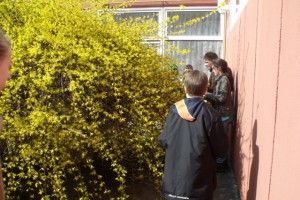 DSCF3962.jpg