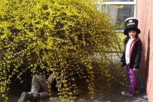DSCF3984.jpg