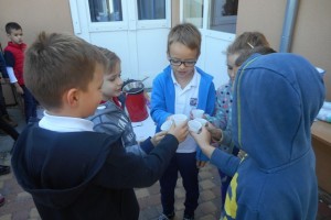 DSCN3578.JPG