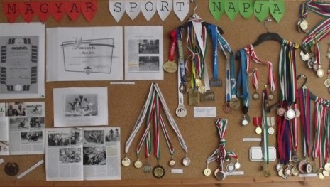 Magyar Sport Napja