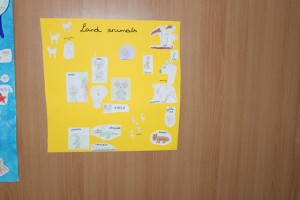 IMG_4873.JPG